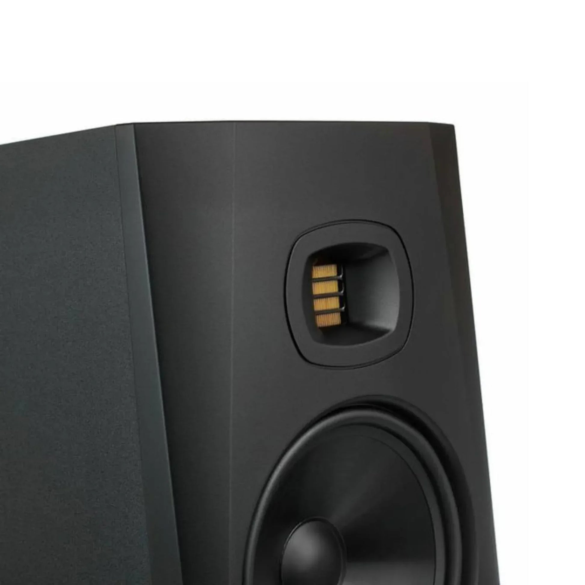 ADAM Audio - T8V - Second Floor Stuff