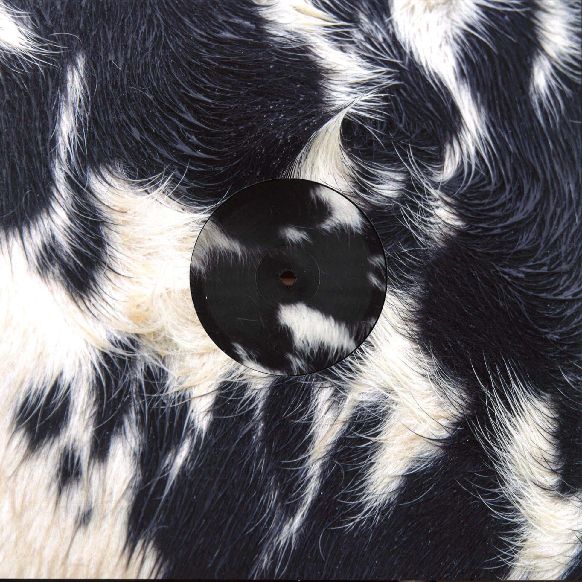 Blawan - Dismantled Into Juice [XL1330T]-Second Floor Stuff